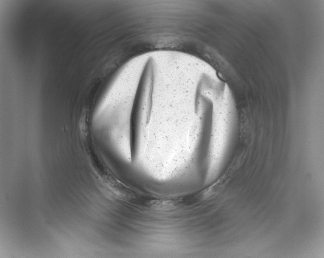 X0000072540074200608111824