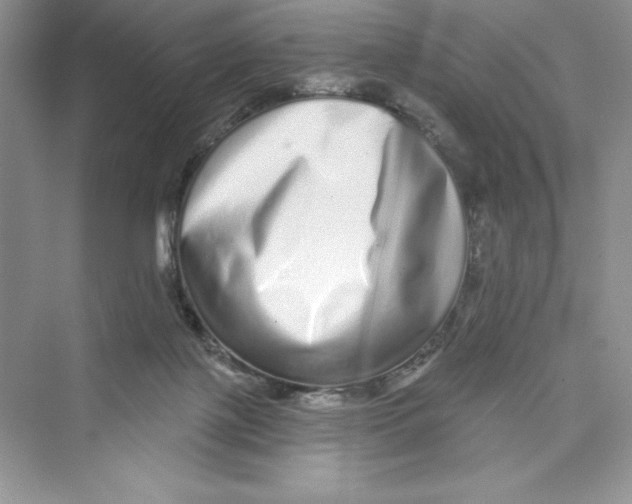 X0000072540075200608111824