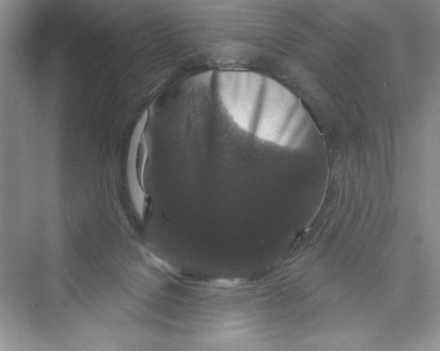 X0000072540076200608111824