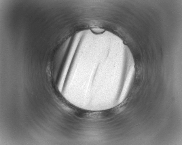 X0000072540078200608111824