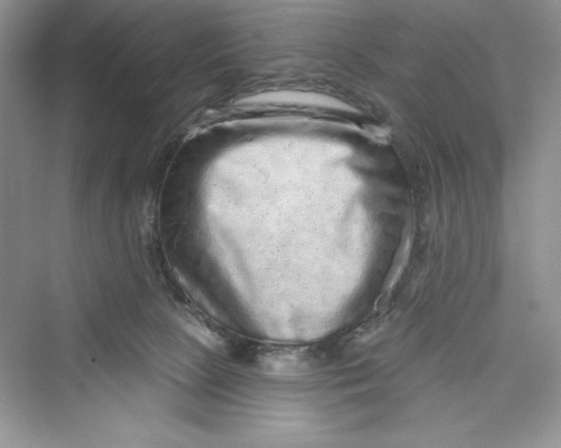 X0000072540081200608111824