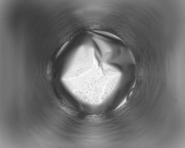 X0000072540082200608111824