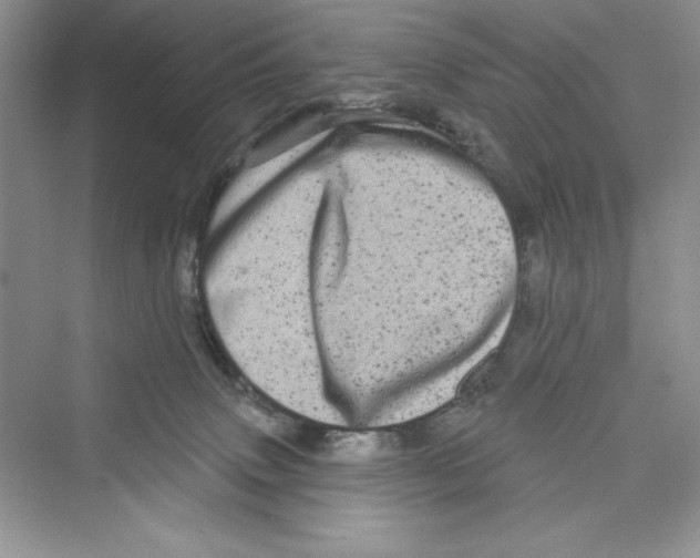 X0000072540083200608111824