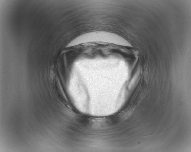 X0000072540085200608111824