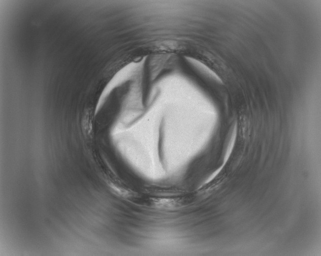 X0000072540091200608111824