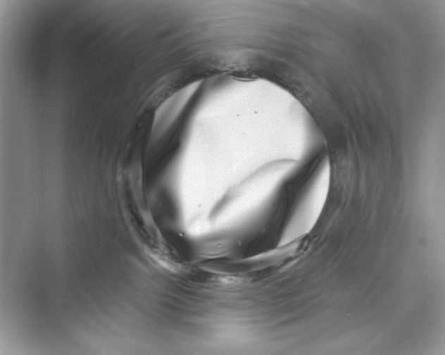 X0000072540092200608111824