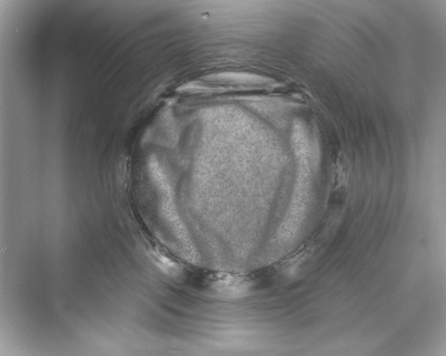 X0000072540093200608111824