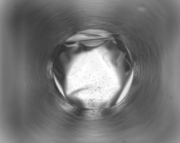 X0000072540094200608111824