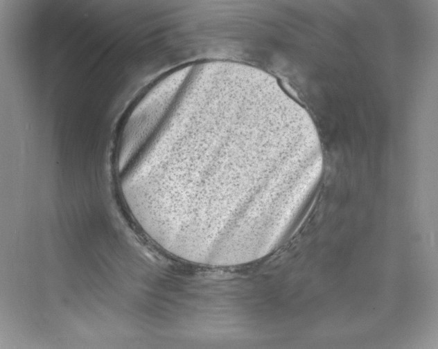 X0000072540098200608111823