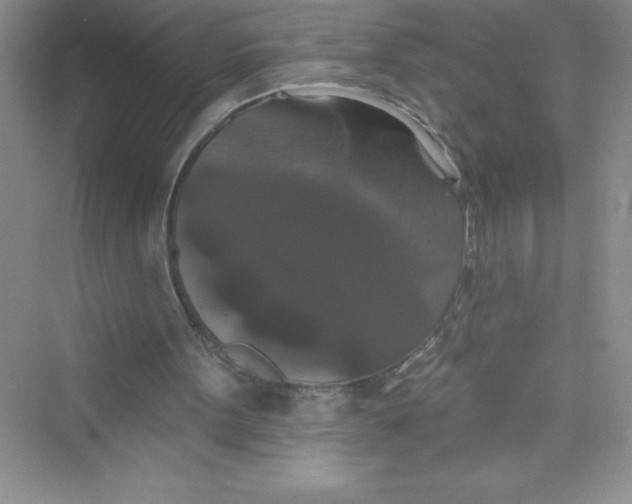 X0000072540099200608111823