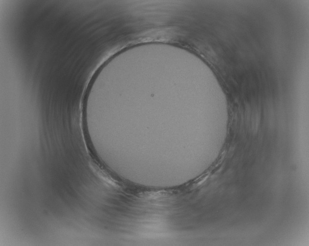 X0000072540100200608111823