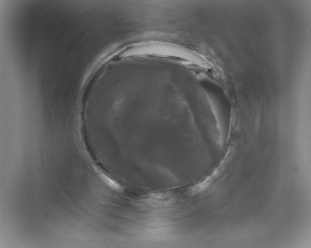 X0000072540101200608111823