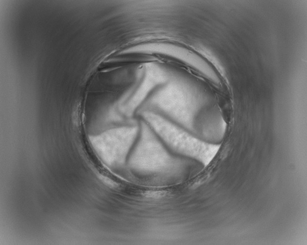 X0000072540105200608111823