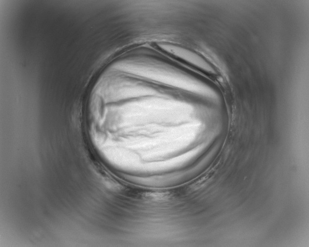 X0000072540107200608111823