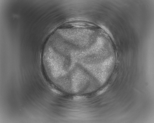 X0000072540109200608111823