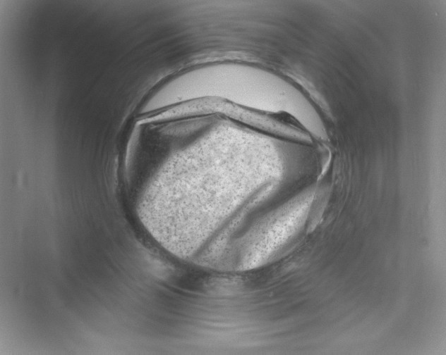 X0000072540110200608111823