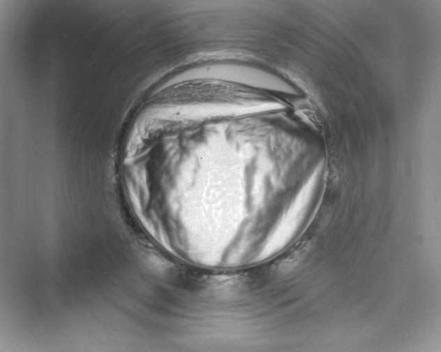 X0000072540111200608111823