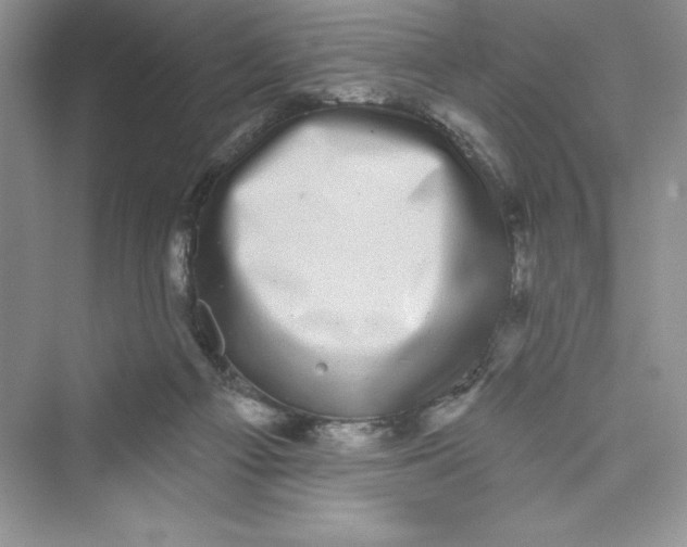 X0000072540121200608111823