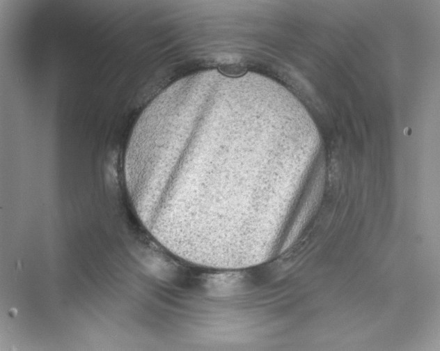 X0000072540122200608111823