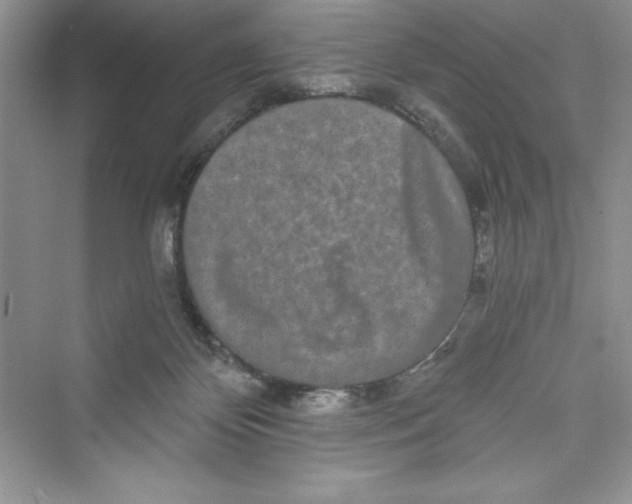 X0000072540124200608111823