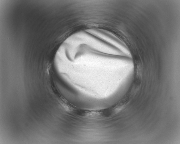 X0000072540125200608111823