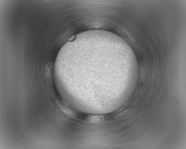 X0000072540126200608111823