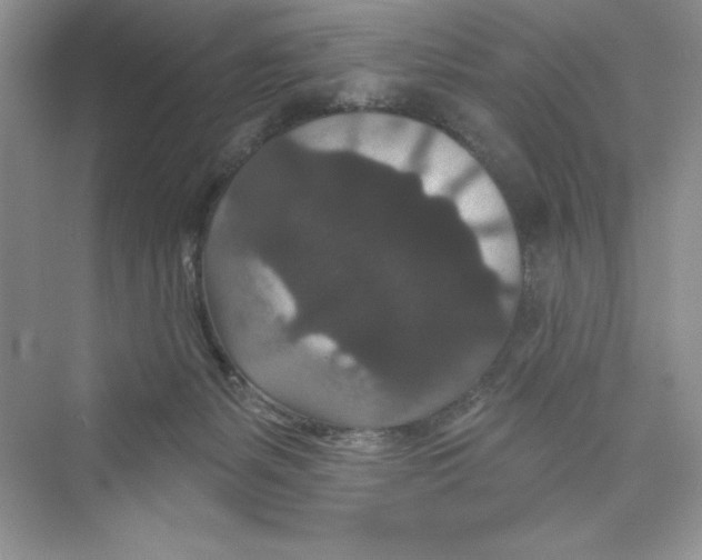 X0000072540127200608111823