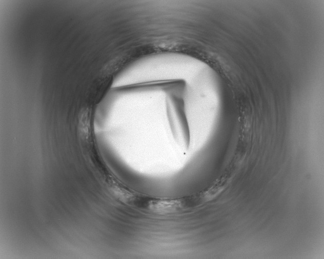 X0000072540129200608111823