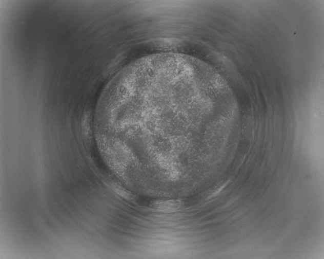 X0000072540131200608111823