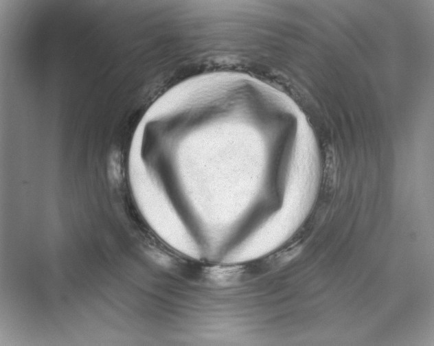 X0000072540135200608111823