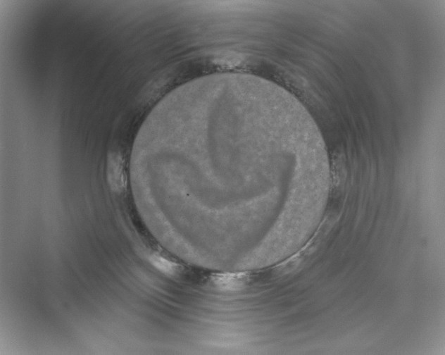 X0000072540136200608111823