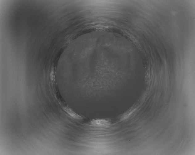 X0000072540137200608111823