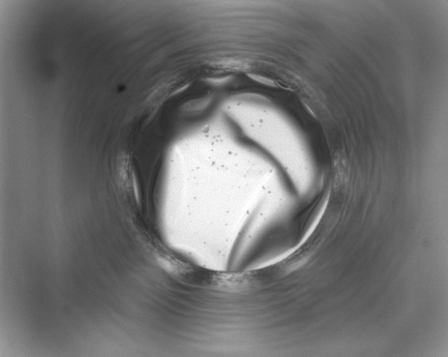 X0000072540141200608111822