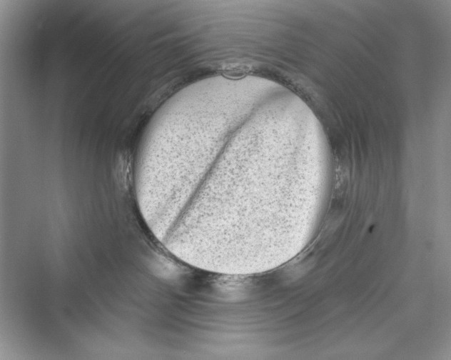 X0000072540142200608111822