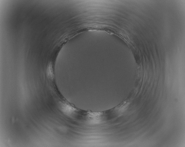 X0000072540143200608111822