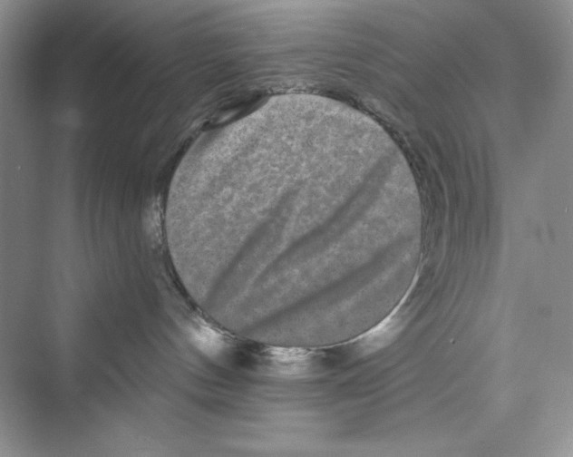 X0000072540144200608111822