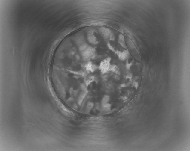 X0000072540145200608111822