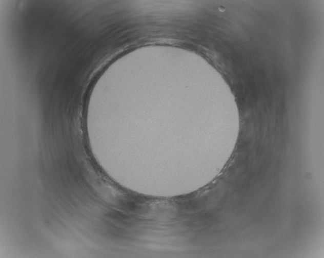 X0000072540146200608111822