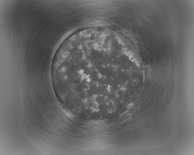 X0000072540147200608111822