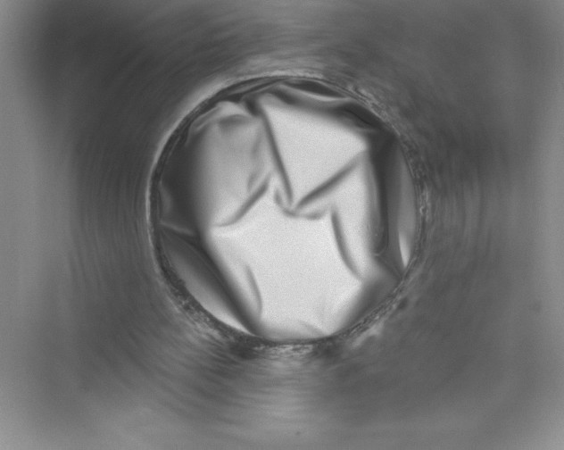 X0000072540148200608111822