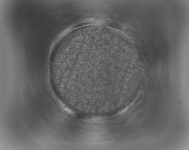 X0000072540149200608111822