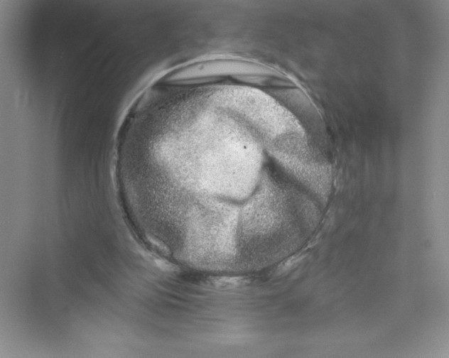 X0000072540152200608111822