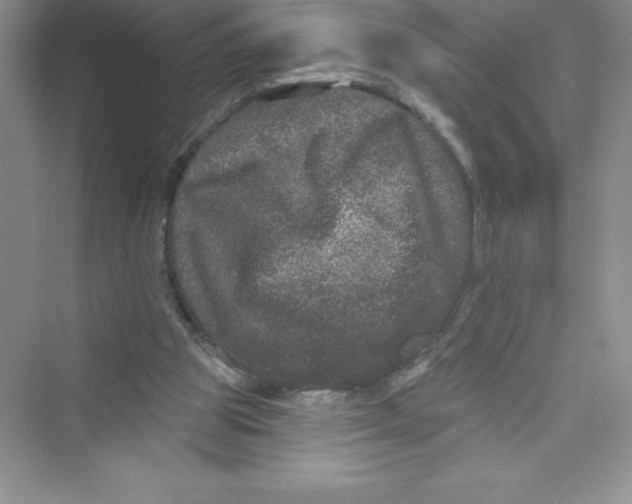 X0000072540153200608111822