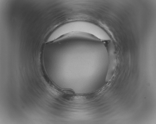 X0000072540154200608111822