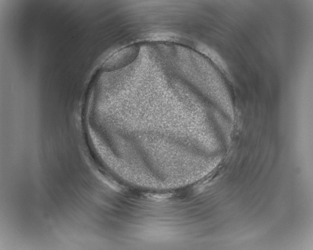 X0000072540155200608111822