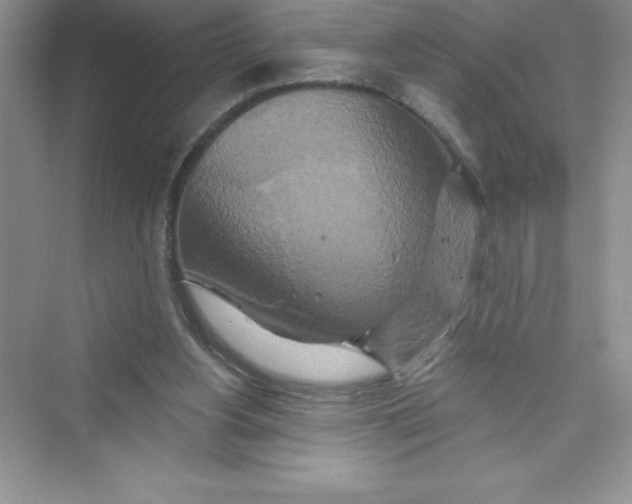 X0000072540156200608111822