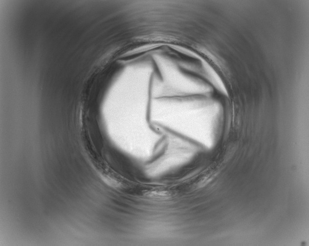 X0000072540157200608111822