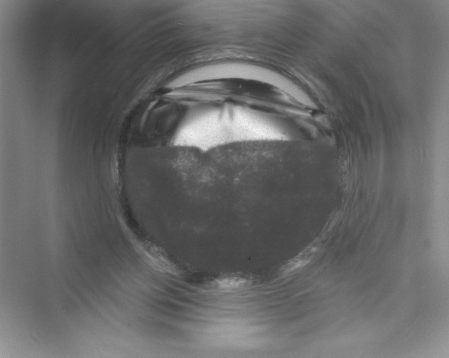 X0000072540158200608111822