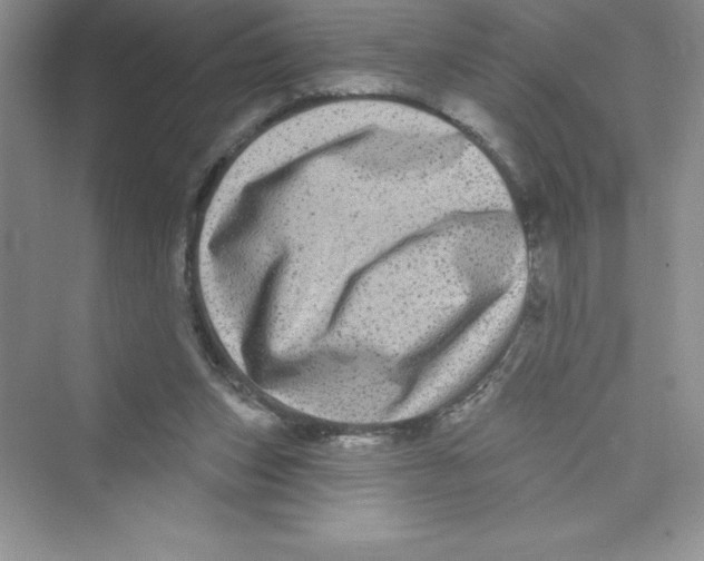 X0000072540159200608111822