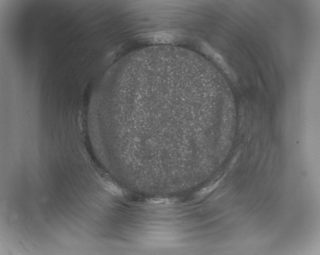 X0000072540161200608111822